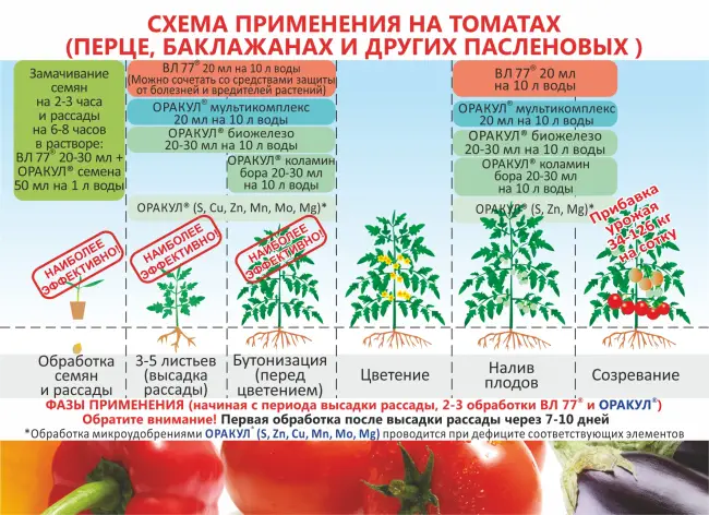 Правильное выращивание и особенности ухода