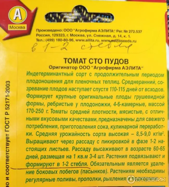 Помидоры сто пудов описание сорта отзывы. Помидоры СТО пудов. Помидоры 100 пудов. СТО пудов томат описание.