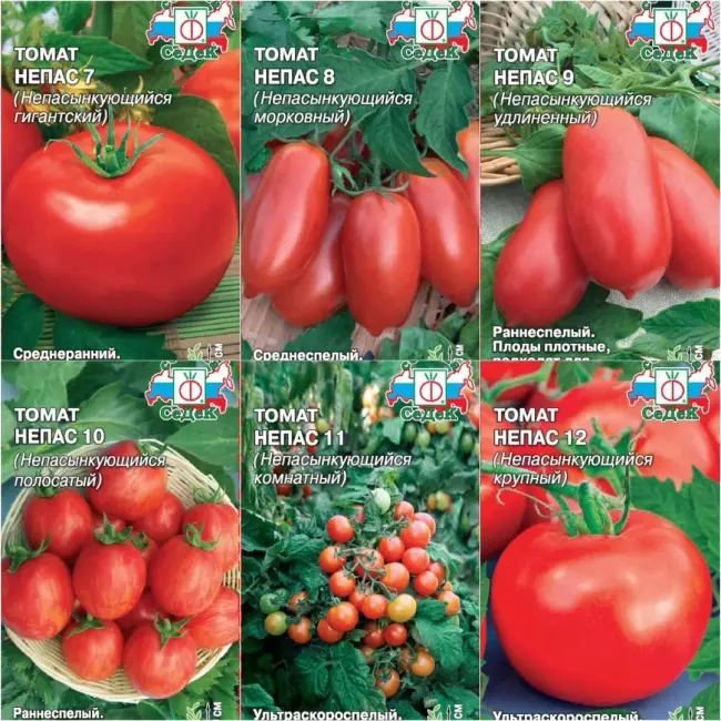 Описание сорта томата, отзывы, фото