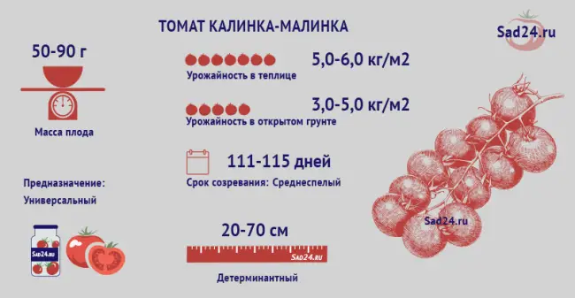 Особенности агротехники сорта, отзывы томатоводов