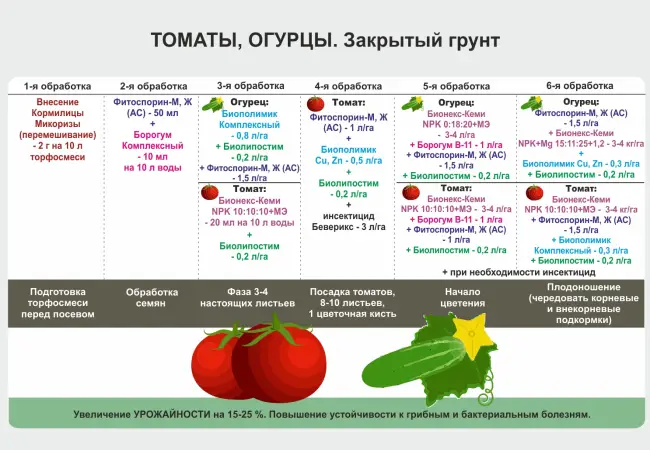 Посадка и уход