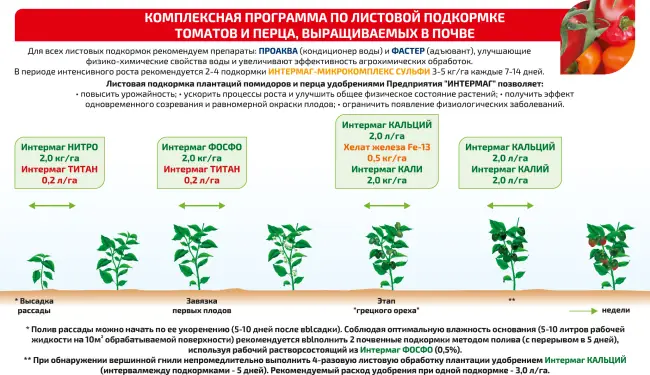 Особенности выращивания, посадка и уход