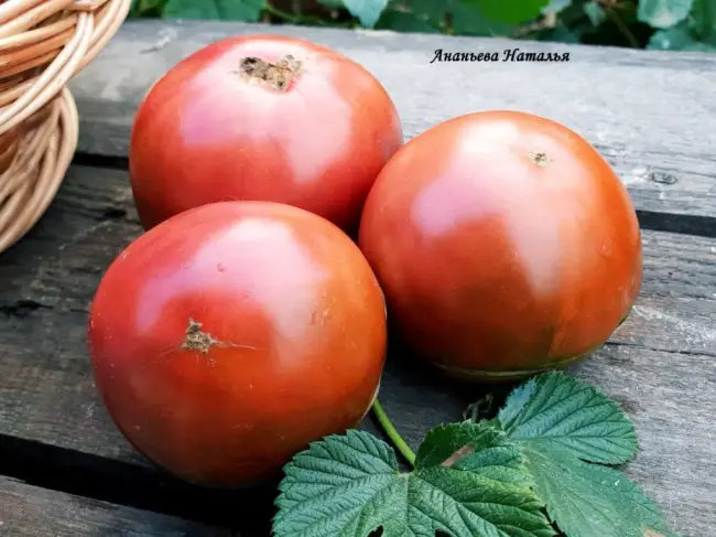 Посадка томатов