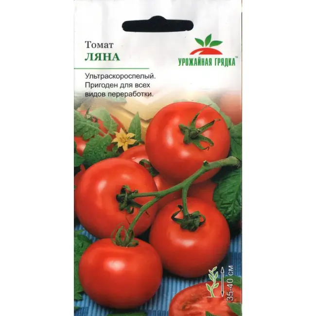 Описание сорта томатов Ляна