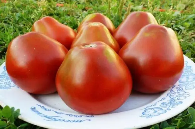 Описание и характеристика сорта томата Полным полно, отзывы, фото
