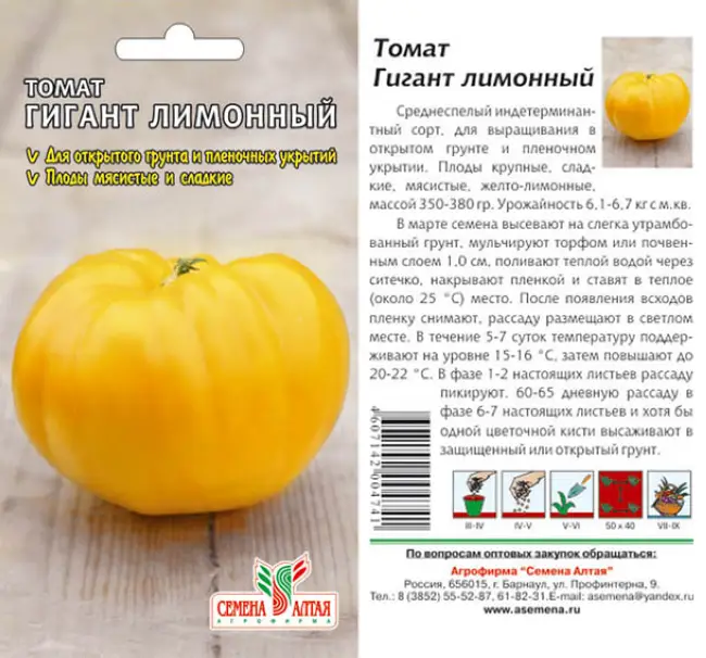 Описание и характеристика сорта томата Гигант лимонный, отзывы, фото