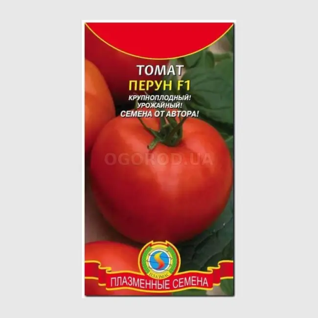 Описание сорта томата Перун f1, особенности выращивание и уход