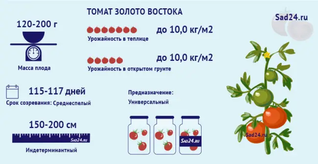 Особенности агротехники, отзывы и комментарии садоводов