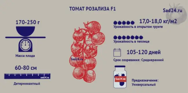 Особенности агротехники гибрида, отзывы земледельцев